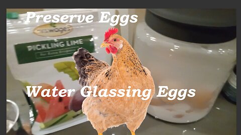 Preserve Eggs - By Water Glassing them