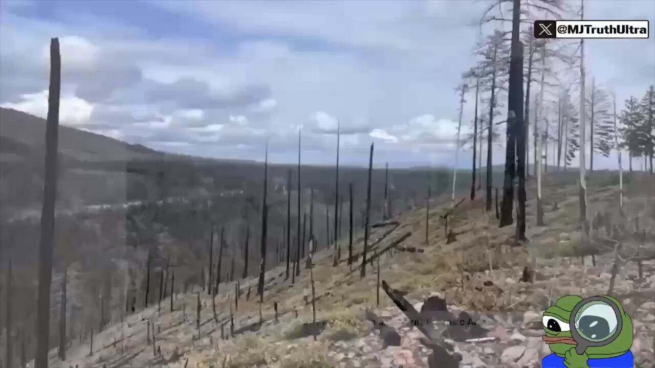 “California Fires Caused by DEWS.” Professional arborist Robert Brame