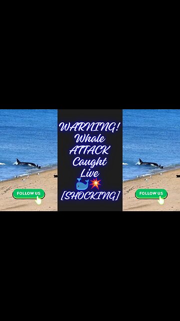 🐬🌊Unbelievable! Whale Beach Attack Caught on Camera – Must See Rare Encounter! #shorts #animals