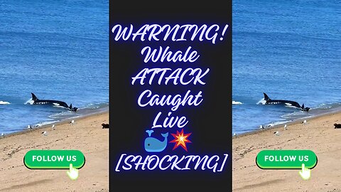 🐬🌊Unbelievable! Whale Beach Attack Caught on Camera – Must See Rare Encounter! #shorts #animals