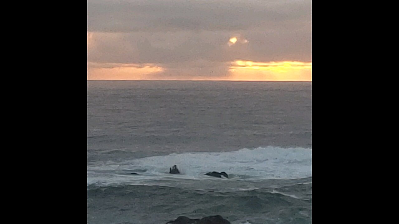 October 2nd, 2025. Sunset is peace of mind on the Pacific coast.VIdeo by Hidden Pines, Fort Bragg CA