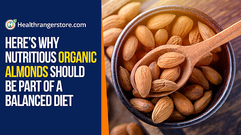 Here’s why nutritious Organic Almonds should be part of a balanced diet