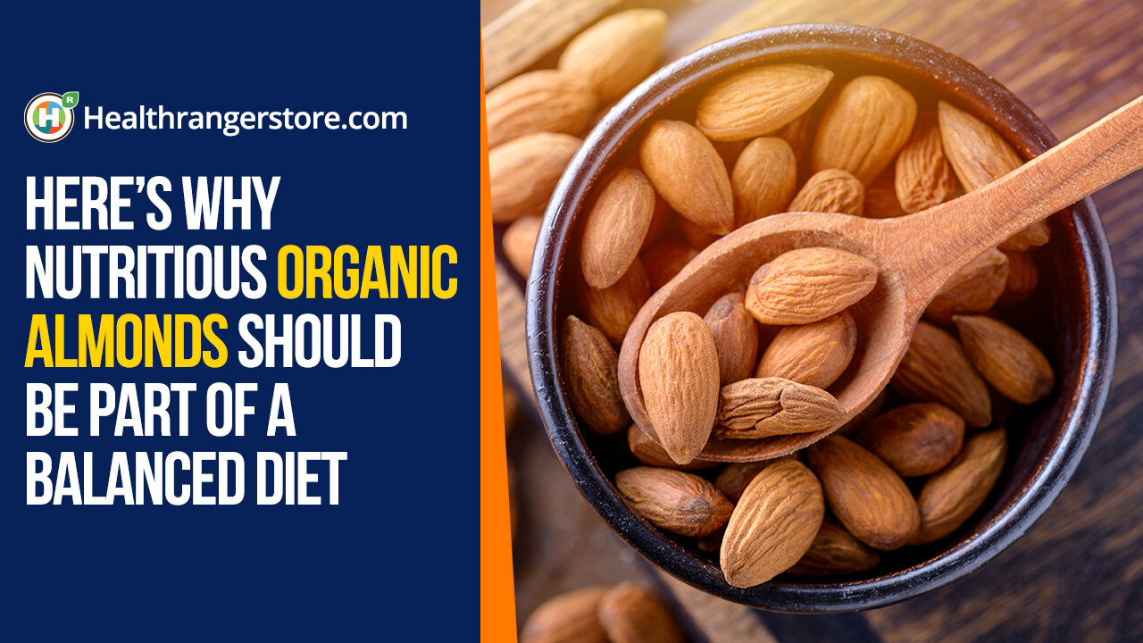 Here’s why nutritious Organic Almonds should be part of a balanced diet