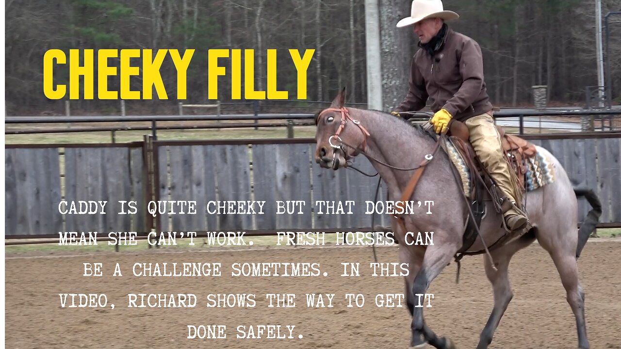 How to Ride a Cheeky Filly Preview