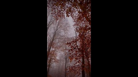 #foryoupage#viralvideo