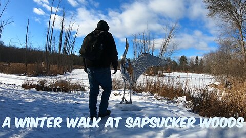 A Winter Walk At Sapsucker Woods