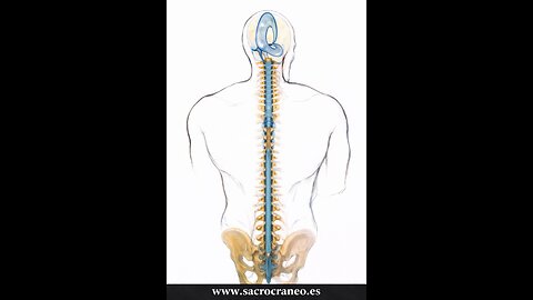 Cráneo-Sacral. Módulo 3. Clase 3