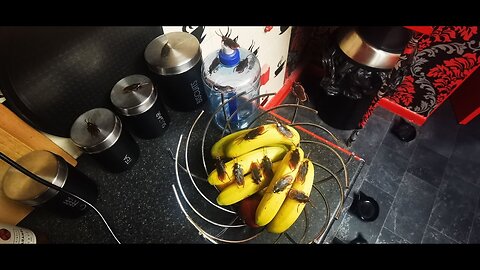 ALIEXPRESS CHINA PRODUCT 📦 GOT MY HOME COVERED IN COCKROACHES 🦑 HELP ME LOOK & SPOT👀 THEM WITH ME 🥰