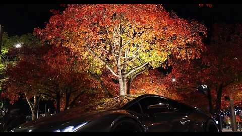 SAPPHYRE x SENKYA - Facing Fears II (Ft. Devilish Trio) | TT 1500HP Lamborghini | NightDrive Music