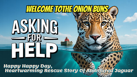 Happy Happy Day, Heartwarming Rescue Story Of An Injured Jaguar