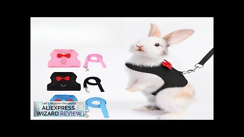 No Pull Comfort Padded Vest Leash for Bunny Rabbit Harness Soft Small Review