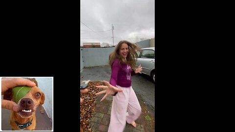 A little bit of everything series (episode 5: Nice-y women)