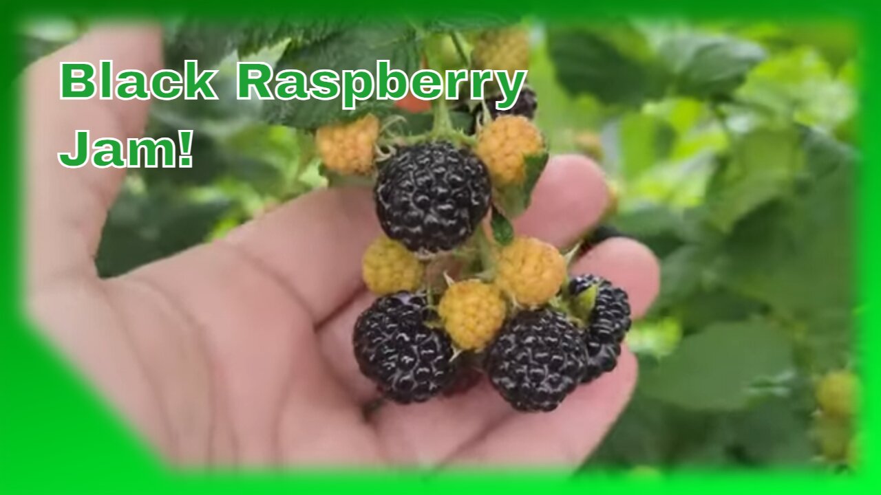 Homemade Black Raspberry Jam That Will Make You Drool