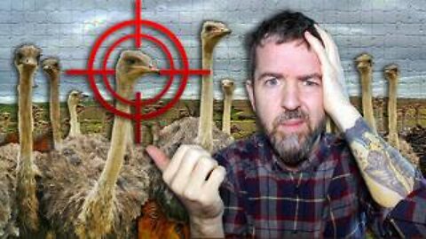 The CULL Is Complete The Ostriches Are GONE The CFIA SHOT & KILLED THEM All In The Dead Of The Night
