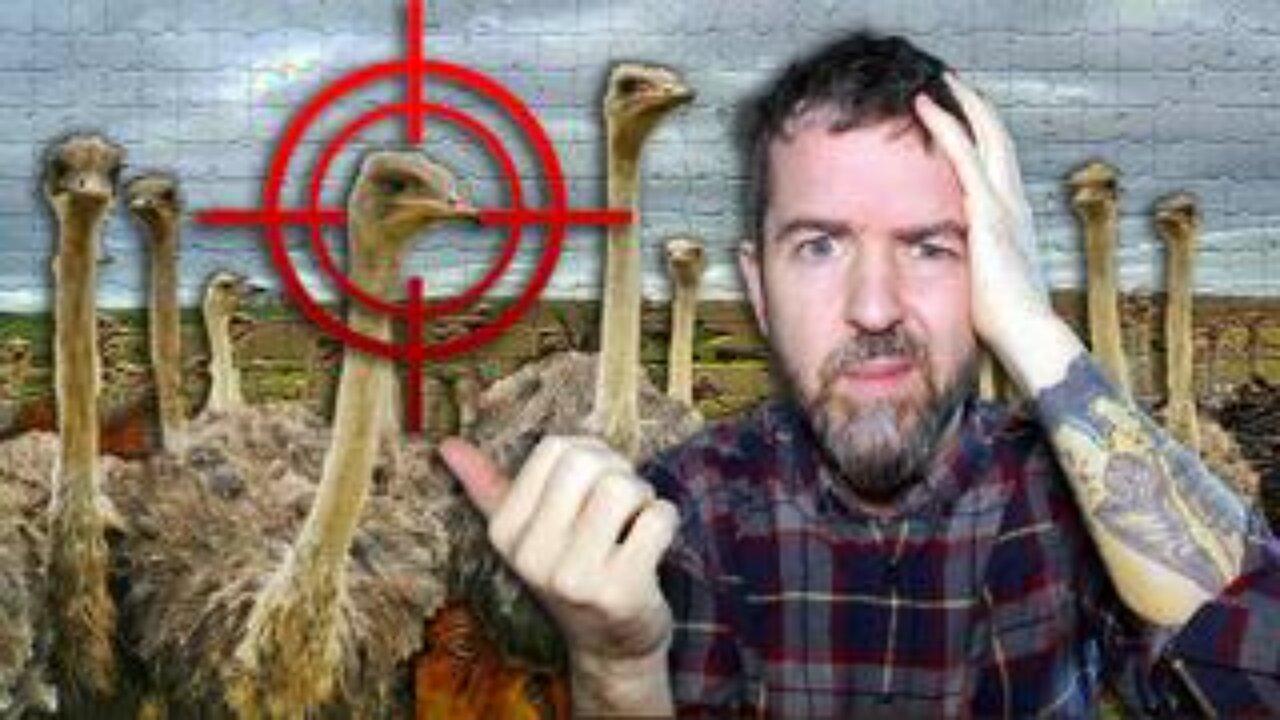 The CULL Is Complete The Ostriches Are GONE The CFIA SHOT & KILLED THEM All In The Dead Of The Night