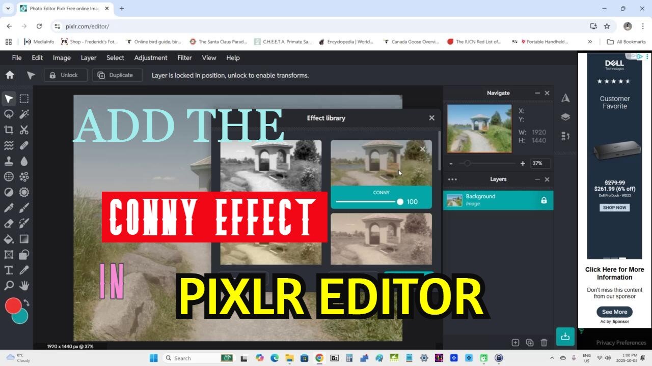 Add the Conny effect in Pixlr Editor