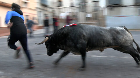 2025 11 08-13 TALES PATRONALES