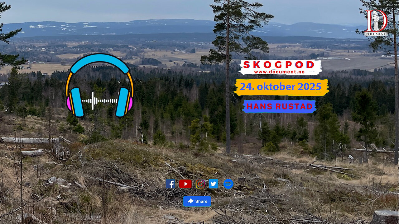 Skogpod 24. oktober 2025