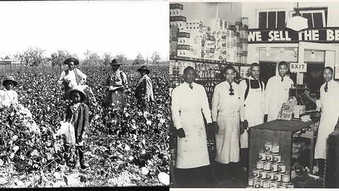 Educational Friday: The Black Americans' Connection to Agricultural & Grocery Stores‼️