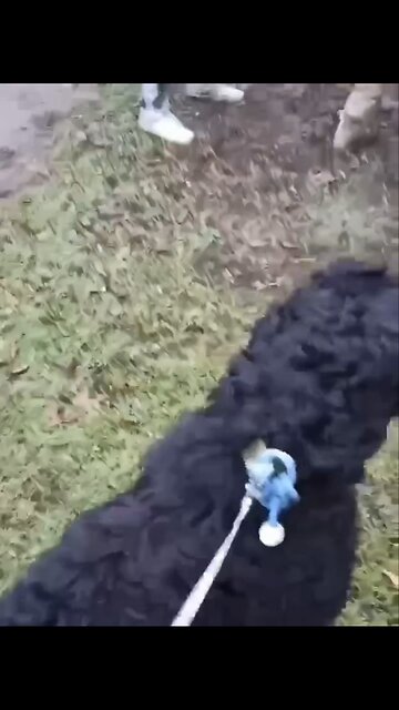 🇺🇦More scenes of forced mobilization in Ukraine.