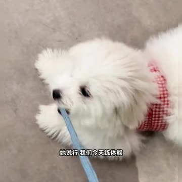 My Daily Life Vlog Short Clip Series Part 325 📸📸 Simple Day in My Life 🧬