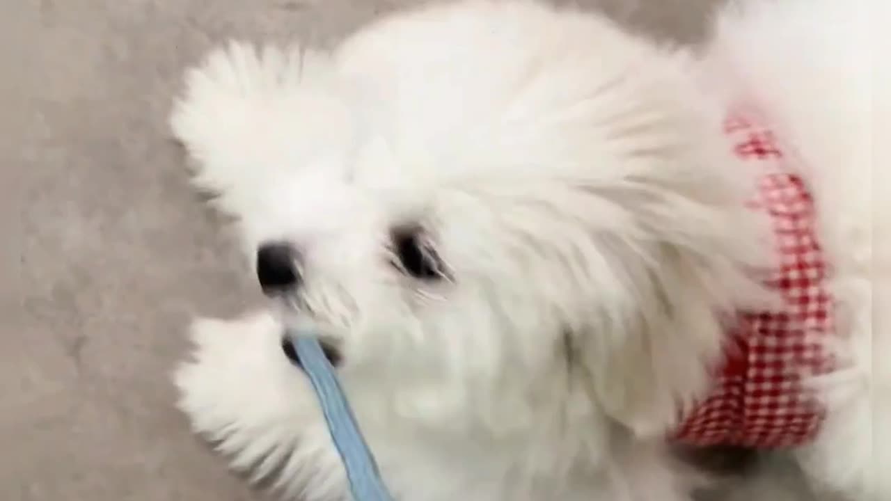 My Daily Life Vlog Short Clip Series Part 325 📸📸 Simple Day in My Life 🧬