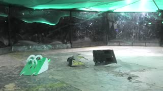 Robo Riots Dublin 2025: Featherweight Rumble