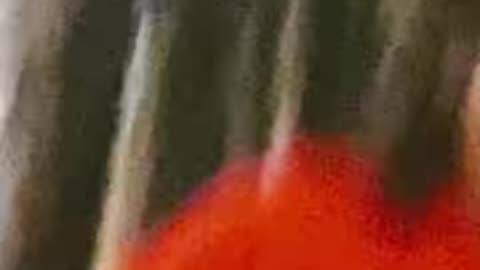 I did my Job big Brr