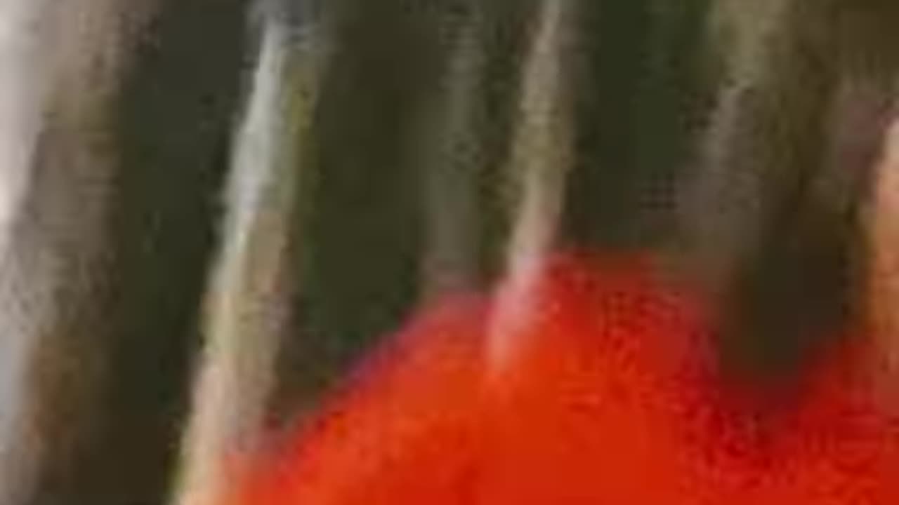 I did my Job big Brr