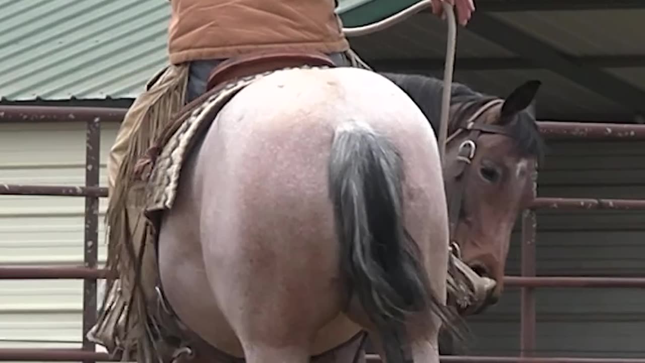 Don't Distract Your Horse by Being Aggressive with Your Hands or Legs.
