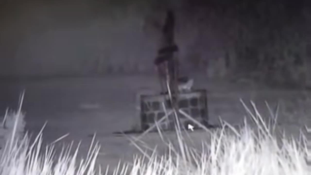 😨👹 What Is That? Unexplained Shadow in Haunted Video! | TheHauntingHour
