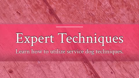 Free Dog Training Workshop How to Train to be as Calm and Obedient as Service Dog