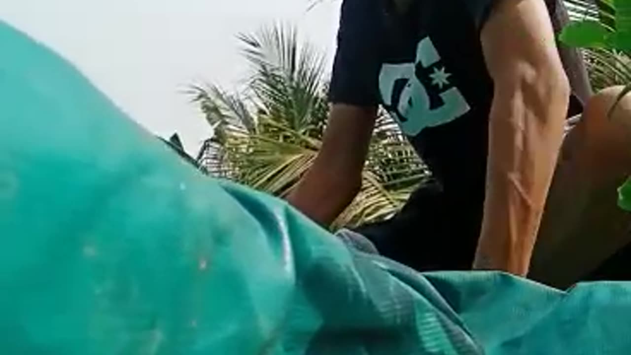 Roommate Prank During KKN