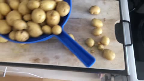 The rest of our homegrown potatoes🥔