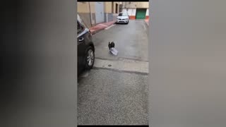 😂🍔 When You Bite Off WAY More Than You Can Carry! Epic Fail | FunFM