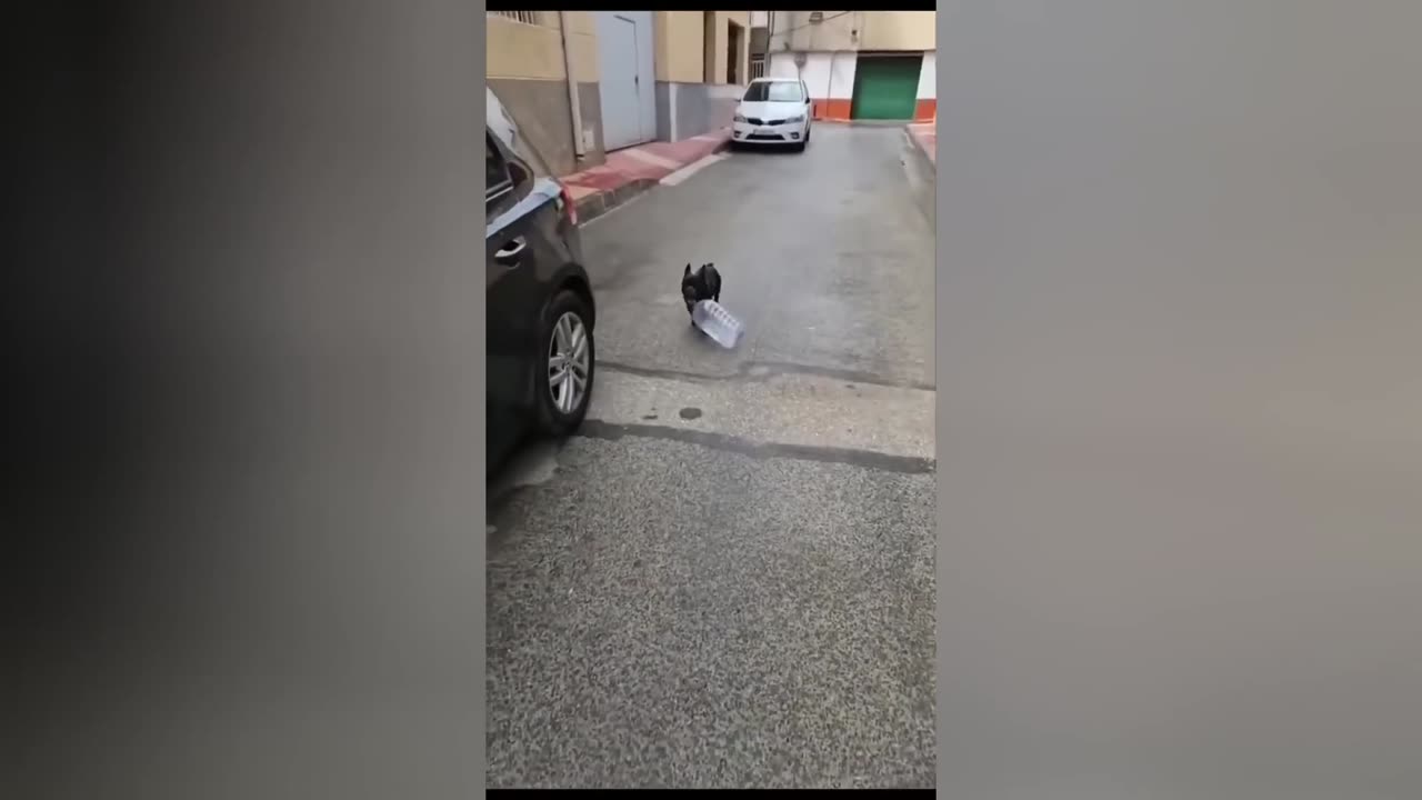 😂🍔 When You Bite Off WAY More Than You Can Carry! Epic Fail | FunFM