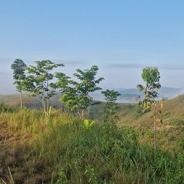🌿 Mindanao Morning Fog – Life in the Bukid 🌿