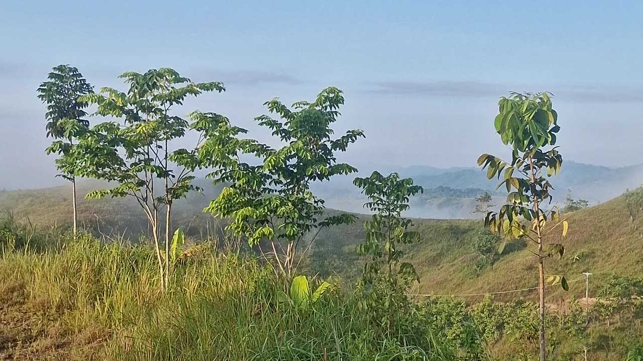 🌿 Mindanao Morning Fog – Life in the Bukid 🌿