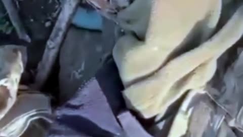 Ukraine war ombat footage 10/16/25