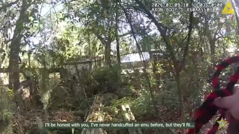 EMU ARRESTED! Florida Sheriff Wrangles Runaway Big Bird with Lasso, Handcuffs