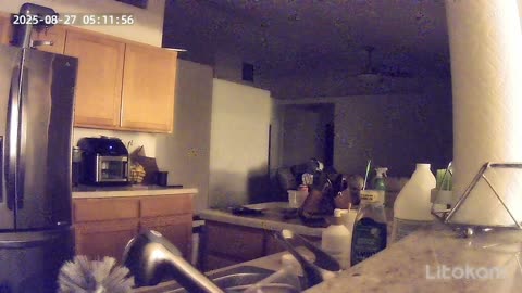 👻🏠 Black Shadow Figure Caught on Camera in House | TheHauntingHour