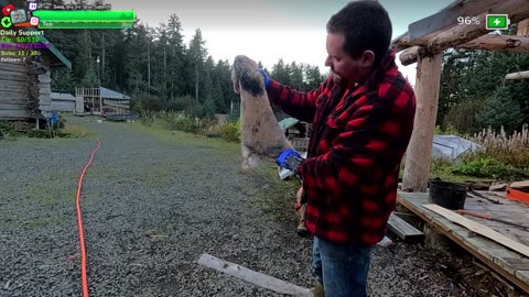 🟢POV RESTAURANT In Isolated Village Alaska !Real !Homestead