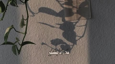 أجمل صوت