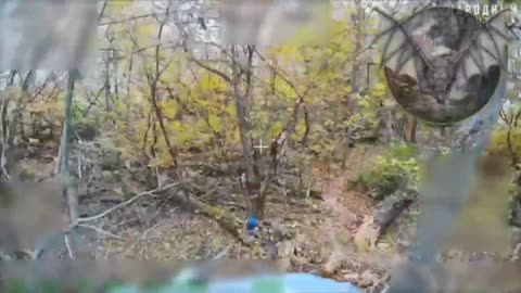 Ukraine war ombat footage 10/16/25