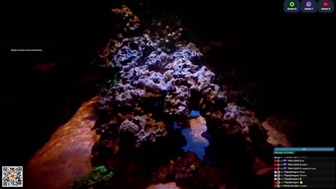 24/7 Real Live Reef Stream
