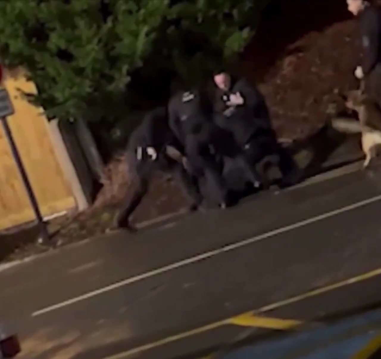 New dramatic footage captures the moment armed UK police taser and arrest the