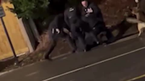 New dramatic footage captures the moment armed UK police taser and arrest the