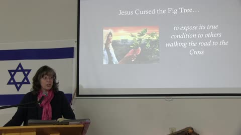 Jan 5, 2025 Jesus And The Fig Tree