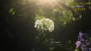 THE PLEIADIANS SHOKING WARNING: Something big is going to happen next on the timeline. BE CAREFUL!