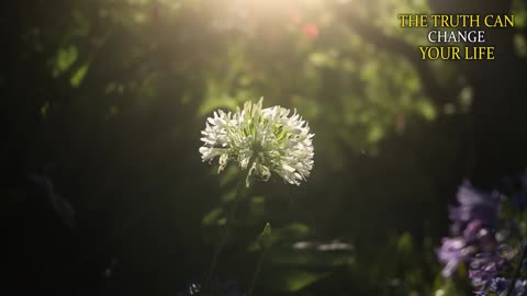 THE PLEIADIANS SHOKING WARNING: Something big is going to happen next on the timeline. BE CAREFUL!